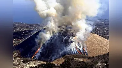 700年以上の伝統「大室山」山焼き、わずか20分で山全体が真っ黒に