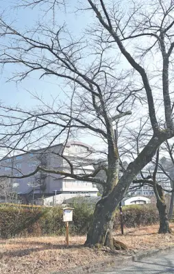 福島県の新たな観光プロジェクト、地域活性化へ向け本格始動