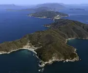 上関町議選、中間貯蔵施設賛成派5人当選確実 反対派3人も議席確保