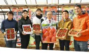 船橋の若手農家5人が市長に完熟イチゴをPR 加工品にも意欲