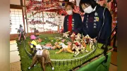 福島・旧堀切邸で約8000個のつるし飾り展示　干支の午にちなんだ競走馬人形も