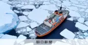 南極観測船「しらせ」がトッテン氷河沖で海洋観測を開始　氷山群とクジラに囲まれ
