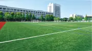 近大附属中学校２チームが探究コンテスト「クエストカップ」全国大会へ ５年連続出場
