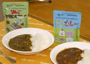 宮城・岩沼の小学生がレトルトカレーを共同開発 防災食として「おいしく防災考えて」