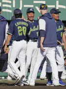 プロ野球オープン戦が沖縄で開幕 阪神は中日と引き分け、ヤクルトは巨人撃破