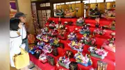 城下町佐伯ひなめぐり開幕、地産花びなや千体の人形で春の訪れを彩る