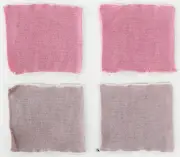 二本松の菊人形廃棄菊花を活用、岳温泉の酸性泉で新たな染色技術を開発