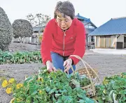 福島県の新たな観光プロジェクトが始動、地域活性化へ期待高まる