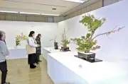 早春の花々が会場を彩る 龍生派会津支部いけばな展が福島県会津若松市で開催中