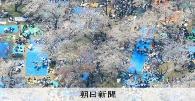 2026年3月末の桜満開状況 ヘリ空撮で捉えた東京の名所の花見風景