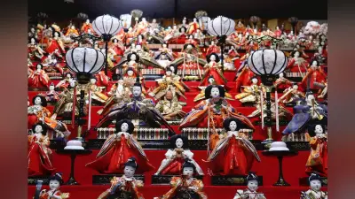 久喜・栗橋の利根川堤防にソメイヨシノ220本植樹、地域再生へ住民の願い込め