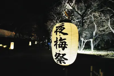 水戸城跡で幻想的な夜の梅祭り 水府提灯とプロジェクションマッピングで彩る