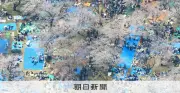 2026年3月末の桜満開状況 ヘリ空撮で捉えた東京の名所の花見風景