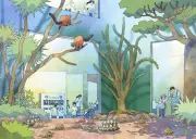 横浜・野毛山動物園、2027年1月から大規模リニューアルで休園へ 屋内体験施設新設