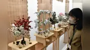 伝統の植物染め展、三重・菰野町で開催　染司よしおか６代目の作品１１０点