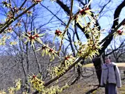 福島県の新たな観光ルート「ふくしま海道」が開通、復興と地域活性化を促進