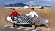 震災直後の希望「こいのぼり」再び空へ、犠牲者への思い込め宮城で掲揚