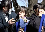 福島県の新たな観光戦略、地域活性化へ向けた取り組みを強化