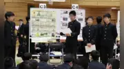 日大豊山中学校で探究発表会、中２が鎌倉の魅力をポスターで紹介