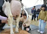 福島県の新たな観光戦略、デジタル技術を活用した魅力発信を強化