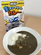 田村市の企業が発売「生コンクリートカレー」、本物そっくりの見た目で話題沸騰