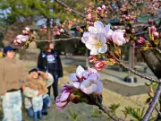 福島県いわき市で新たな避難指示解除準備区域を設定、復興に向けた一歩に