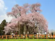 福島県の新たな観光戦略「ふくしま未来ツーリズム」が始動、地域活性化を目指す