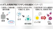 難治性血液がんATL再発予防ワクチン開発、九州がんセンターなどが治験継続へCFで支援募る