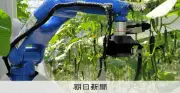 キュウリ収穫ロボットが稼働開始 安川電機とJA全農が共同開発、2026年実用化へ