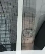 音楽グループ「XG」プロデューサーら4人、コカイン使用容疑で再逮捕 エイベックス社員も含む