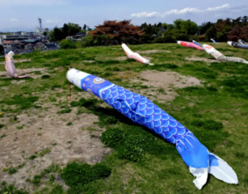 須賀川市の翠ケ丘公園でこいのぼり掲揚、春の風物詩が代替開催