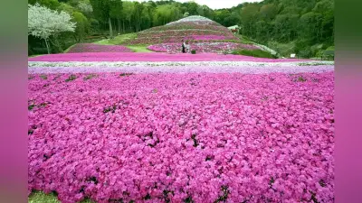 トランプ氏、イランでの米兵救出作戦で155機投入 捜索かく乱工作も実施