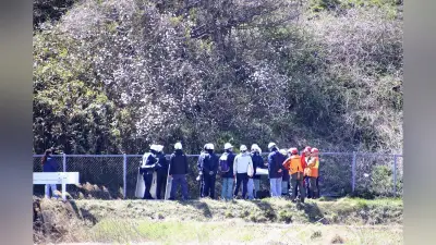 福島・郡山で出没した体長1.5mのクマを緊急銃猟で駆除 常磐道一部通行止めに