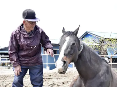 野馬追まで1カ月、元競走馬と暮らす86歳の騎馬武者「これからも健康でいて」