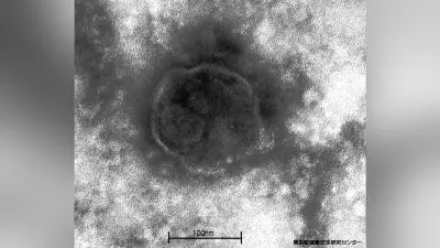 はしか患者数が前年比3倍以上に急増、197人に達する ワクチン接種の徹底呼びかけ