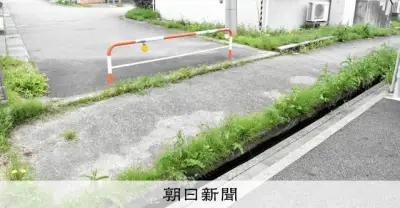 富山市住宅街でクマ襲撃、40代女性重傷 緊急銃猟で駆除