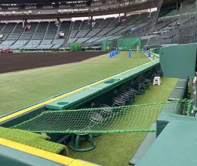 甲子園球場、カメラマン席に転落防止ネット設置　選手の安全確保へ