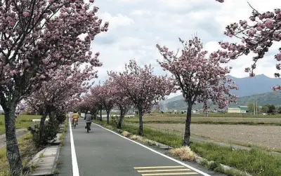 つくば霞ケ浦りんりんロードの春、自転車が行き交う平和な風景を綴る