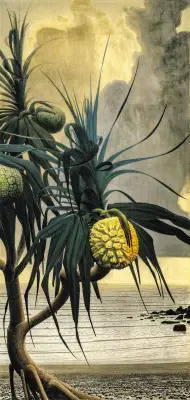 田中一村の代表作《アダンの海辺》が千葉市美術館に寄贈、奄美の光を千葉へ