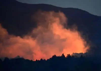 福島県相馬市で新たな農業支援事業開始、若手農家の育成を促進
