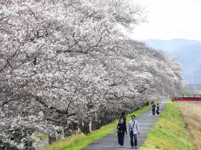 福島県の新たな観光戦略が発表、復興の歩みを加速させる取り組み
