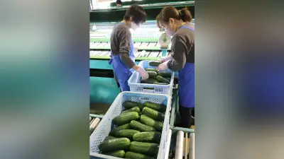 山梨県が成長産業総合支援センターを開設、医療機器・水素・航空宇宙分野への企業参入を後押し