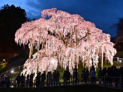 福島県で新たな避難指示解除へ 復興庁が方針を発表、住民帰還を後押し