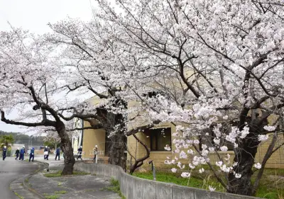 旧双葉町図書館と歴史民俗資料館が解体へ 震災・原発事故から復興の新たな一歩