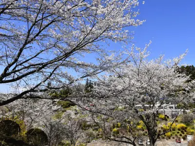 福島県の復興支援事業で不正受給が発覚、関係者を書類送検