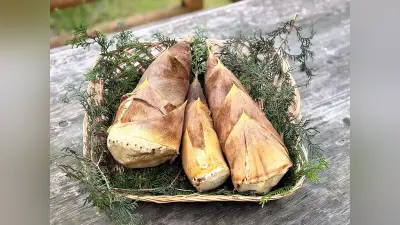 放置竹林が森林環境譲与税で再生、ふるさと納税の人気返礼品に