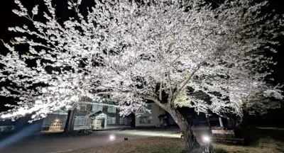 福島県の新たな観光戦略、地域活性化へ向けた取り組みを強化