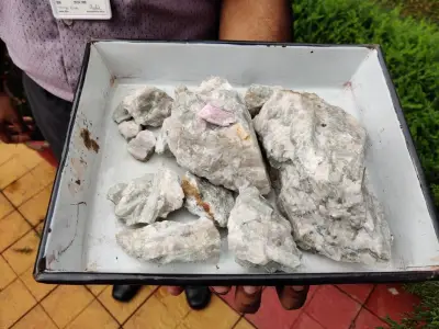 米EU、重要鉱物巡り行動計画策定 中国念頭に貿易措置で対抗