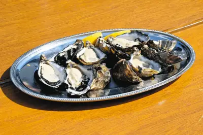 愛知・蒲郡にカキ味わえる新施設「Gamagori Oyster Dock」5月5日オープン