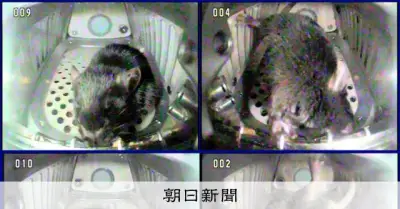 月・火星移住の健康条件が明らかに　JAXA実験で「地球の3分の2重力」がカギ